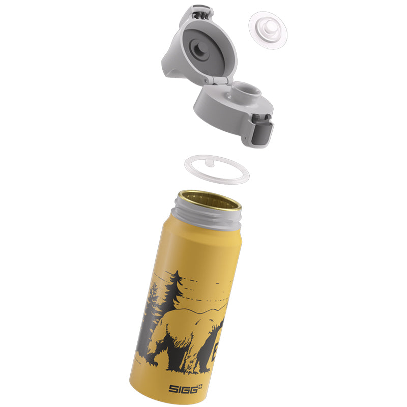 SIGG Kids Water Bottle WMB ONE Kids Brave Bear 600mL