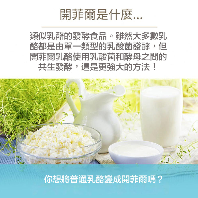 NKG - Original Kefir Fiber Plus 40g (8 sachets x 5g) - Made in Japan Best Before 28-Feb-2026
