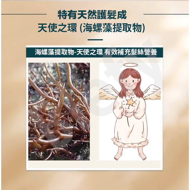 Newmo - 玫瑰保濕護髮素 280毫升 改善毛躁 亮滑豐盈 滋養頭皮 控油清潔 - 日本製造